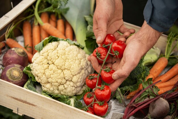 Persona che si prende cura del cibo naturale in cassa