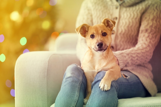 Persona di sesso femminile che tiene in mano un piccolo e simpatico cane alla sedia sullo sfondo dell'albero di Natale