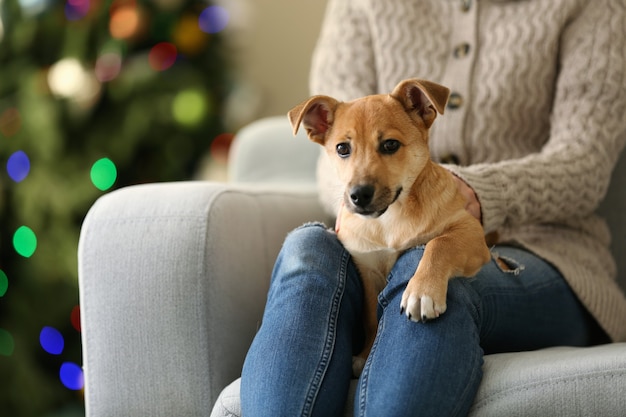 Persona di sesso femminile che tiene piccolo cane divertente sveglio alla sedia