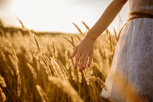 Persona di sesso femminile in abito bianco che cammina in un campo di segale sul tramonto. Donna sul prato estivo, vista posteriore