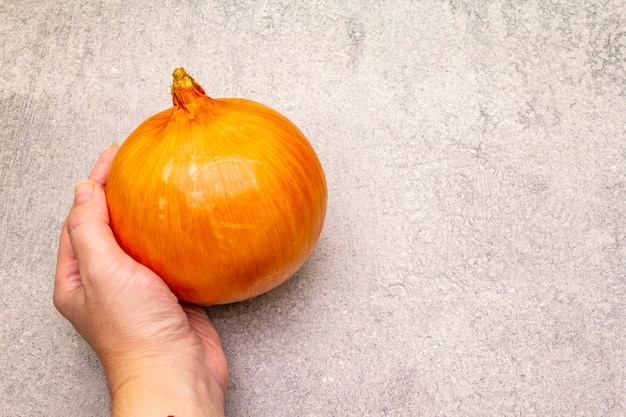 Persona in possesso di bulbo di cipolla gigante fresca