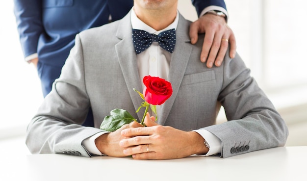 persone, celebrazione, omosessualità, matrimonio omosessuale e concetto di amore - primo piano di coppia gay maschile con fiore di rosa rossa che mette la mano sulla spalla