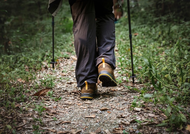 Persone che camminano nella foresta