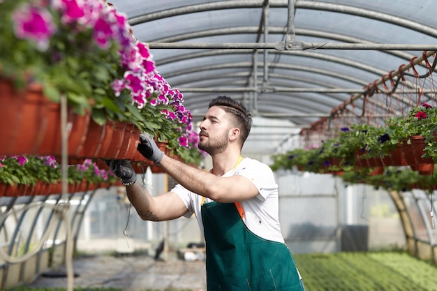 Persone che lavorano in un negozio di giardinaggio