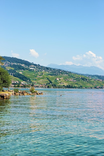 Persone che nuotano e prendono il sole sul lago di Ginevra a Losanna, Svizzera.