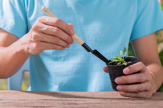 Persone che piantano alberi in vaso concetto di amore le piante amano l'ambiente