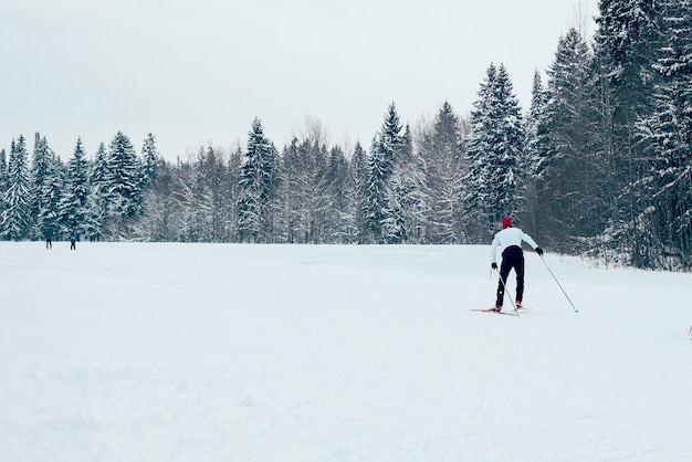 Persone che sciano nella foresta invernale