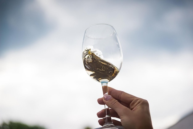 Persone che tintinnano bicchieri di vino sulla terrazza estiva del bar o del ristorante