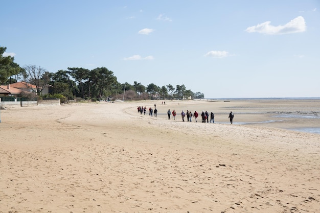 Persone di nordic walking che fanno escursioni sulla spiaggia