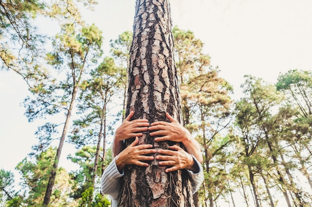 Persone e amore per il concetto di ambiente naturale con le mani che abbracciano un tronco d'albero nella foresta - fermare la deforestazione e salvare la missione del pianeta terra - celebrazione della giornata della terra