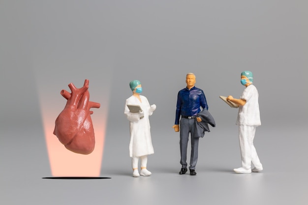 Persone in miniatura Medico che studia e cura il concetto di Giornata mondiale della salute del cuore umano