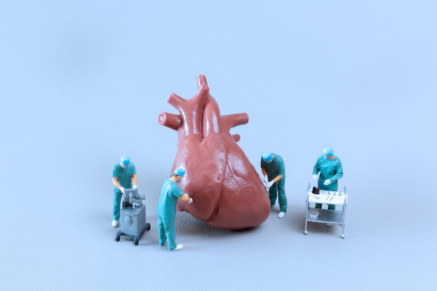 Persone in miniatura Modello cardiaco di controllo e analisi del medico su sfondo blu Concetto di scienza e medicina