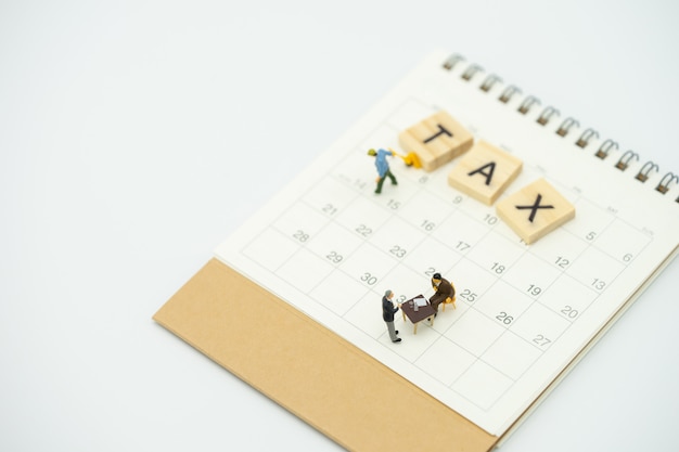 Persone in miniatura Pay code Entrate annuali (TAX) per l&#39;anno in calendario.