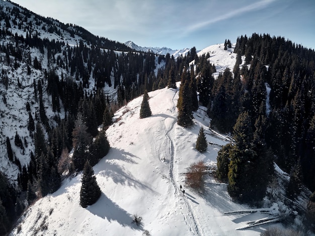 Persone in montagna d'inverno