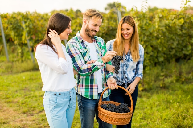 Persone in vigna