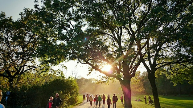 Persone nel parco