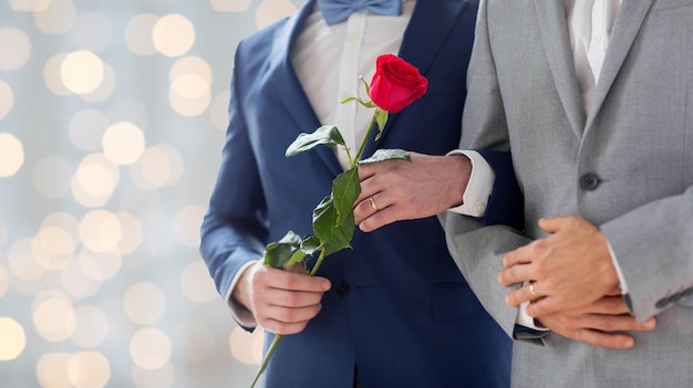 persone, omosessualità, matrimonio omosessuale e concetto di amore - primo piano di coppia gay maschio felice con fiore di rosa rossa che si tiene per mano su sfondo di luci di vacanze di nozze