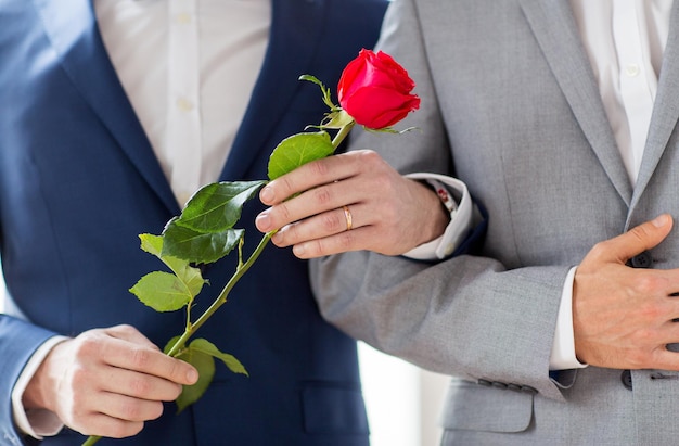 persone, omosessualità, matrimonio omosessuale e concetto di amore - primo piano di coppia gay maschio felice con fiore di rosa rossa che si tiene per mano sul matrimonio