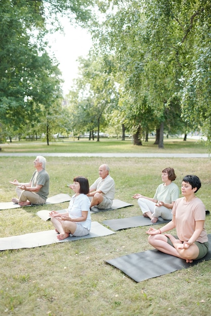 Persone spirituali che meditano nel parco