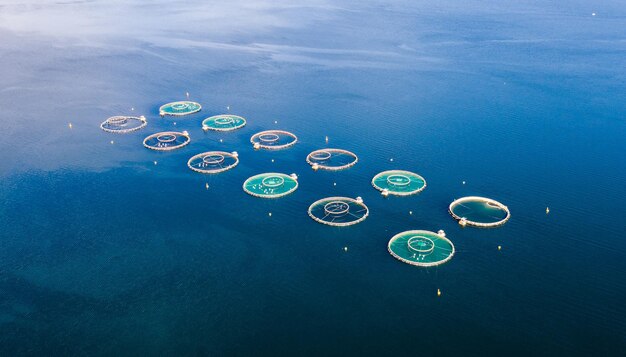 Pesca al salmone d'allevamento in Norvegia Fotografia aerea con drone FPV.