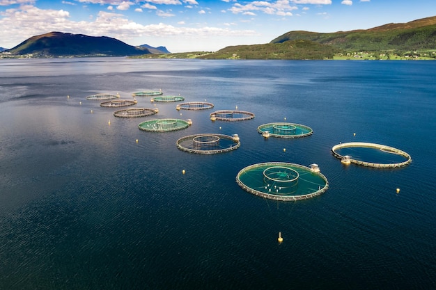 Pesca al salmone d'allevamento in Norvegia fotografia aerea.