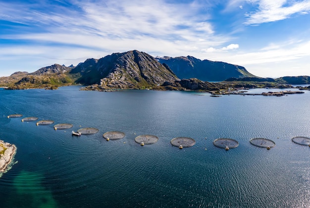 Pesca al salmone d'allevamento in Norvegia. La Norvegia è il più grande produttore di salmone d'allevamento al mondo, con oltre un milione di tonnellate prodotte ogni anno.