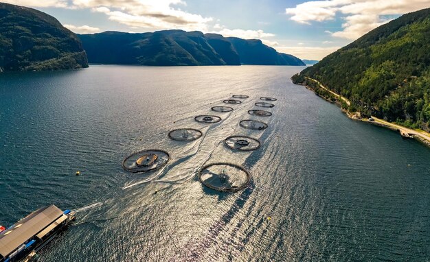 Pesca al salmone d'allevamento in Norvegia. La Norvegia è il più grande produttore di salmone d'allevamento al mondo, con oltre un milione di tonnellate prodotte ogni anno.