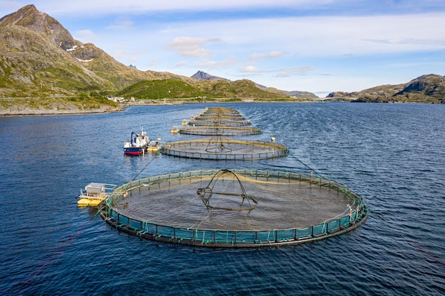 Pesca al salmone d'allevamento in Norvegia. La Norvegia è il più grande produttore di salmone d'allevamento al mondo, con oltre un milione di tonnellate prodotte ogni anno.