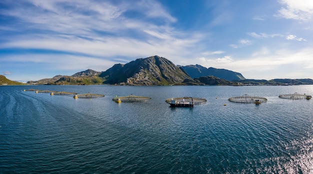 Pesca al salmone d'allevamento in Norvegia. La Norvegia è il più grande produttore di salmone d'allevamento al mondo, con oltre un milione di tonnellate prodotte ogni anno.