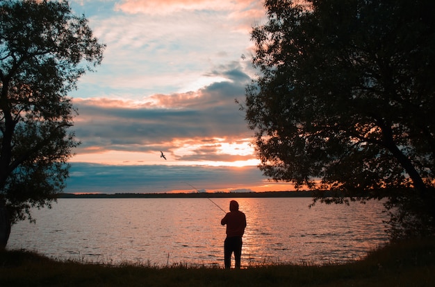 Pesca al tramonto sul lago. Il pescatore lancia una canna da pesca, vista posteriore. Paesaggio al tramonto sul lago e un gabbiano in volo.