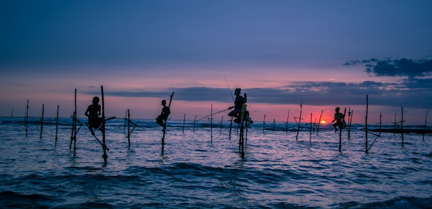 Pescatore tradizionale su palafitte nello Sri Lanka