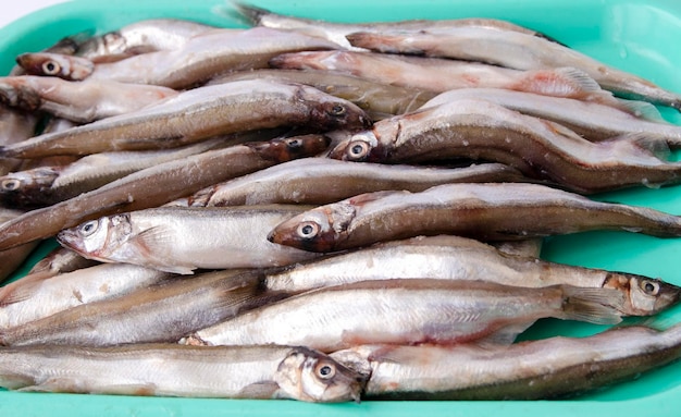 pesce capelin fresco acquistato al mercato per friggere la cottura