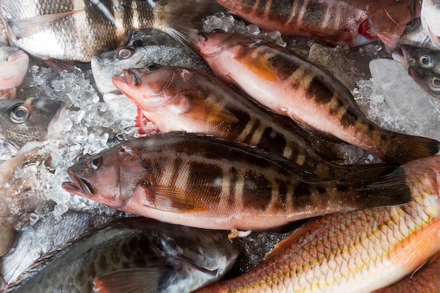 Pesce con ghiaccio a Callao Salveje Tenerife