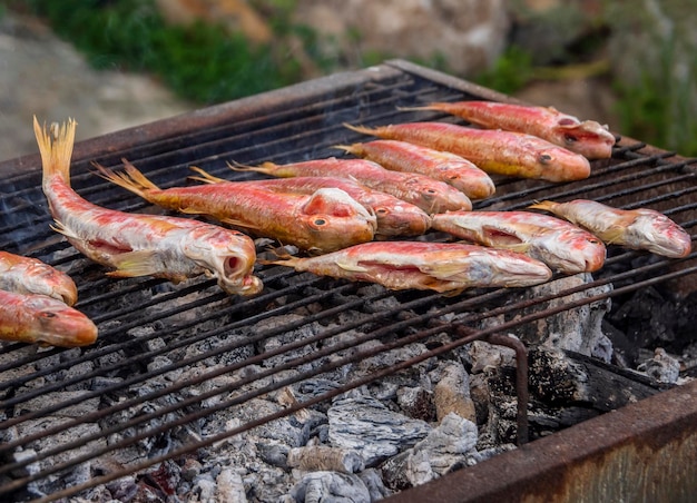 Pesce con ventose sul primo piano della griglia nell'isola greca