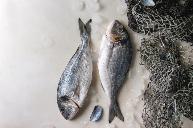 Pesce crudo di orata