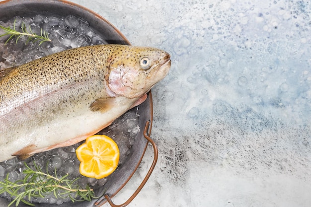 Pesce crudo di trota sul vassoio con ghiaccio con rosmarino e limone su sfondo chiaro di pietra, vista dall'alto