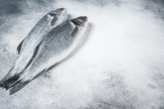 Pesce crudo fresco della spigola sul tavolo da cucina. Sfondo bianco. Vista dall'alto. Copia spazio.