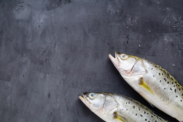 Pesce crudo fresco su fondo di pietra scura