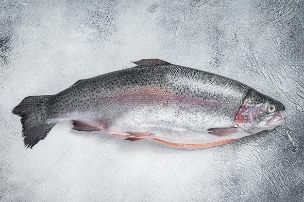 Pesce d'argento crudo di trota su un tavolo da cucina Sfondo grigio Vista dall'alto