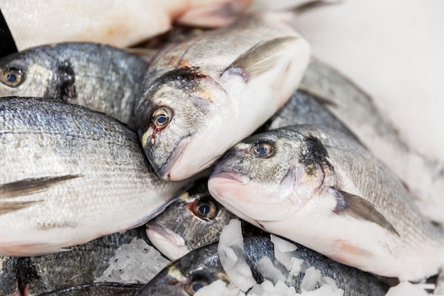 Pesce d'argento fresco su ghiaccio sul bancone. Avvicinamento.