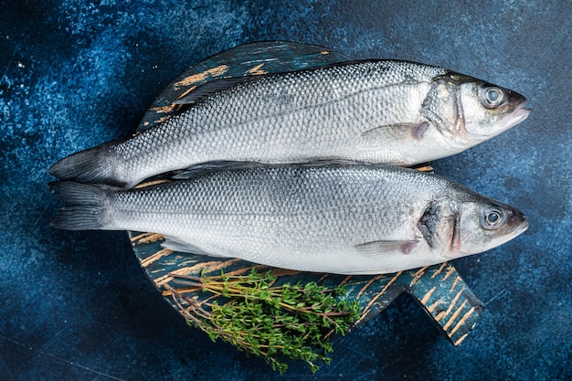 Pesce di branzino crudo crudo Spigola con sfondo blu di timo Vista dall'alto