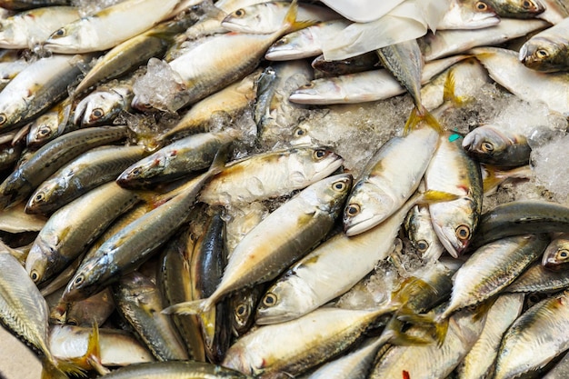 Pesce di freschezza nella bancarella del mercato