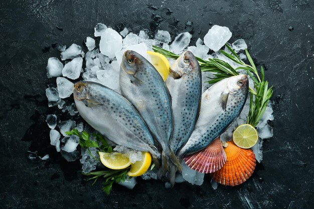 Pesce di mare crudo con sale al limone e rosmarino su sfondo nero Vista dall'alto Spazio libero per la copia