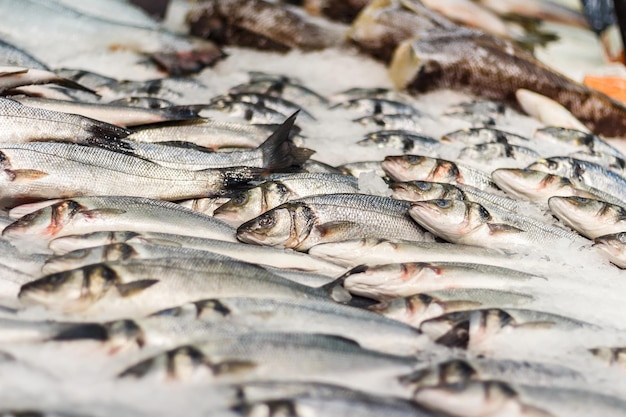 Pesce di mare fresco nel ghiaccio