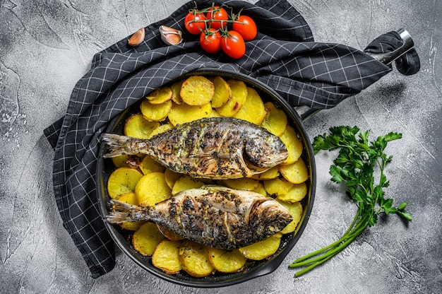 Pesce Dorado alla griglia con patate in padella. Sfondo grigio. vista dall'alto