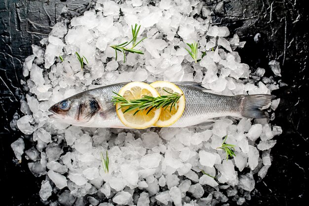 pesce dorado sul ghiaccio, su uno sfondo di pietra