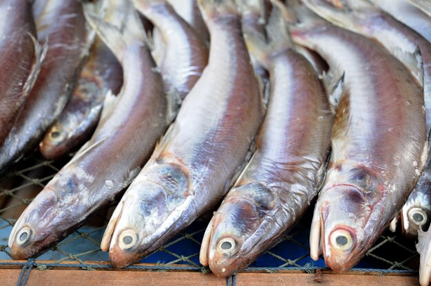 Pesce essiccato nel mercato galleggiante, Thailandia