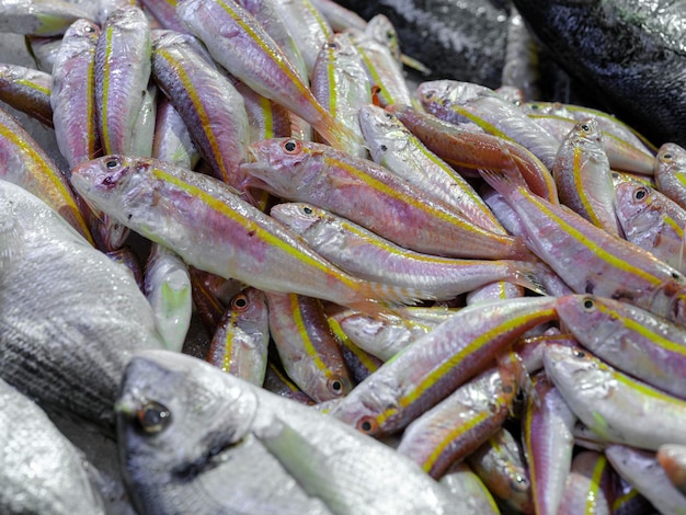 pesce fresco al mercato