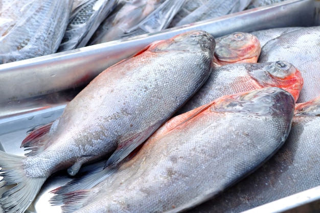 pesce fresco al mercato