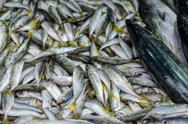 Pesce fresco che si trova in un vassoio sul mercato da vendere